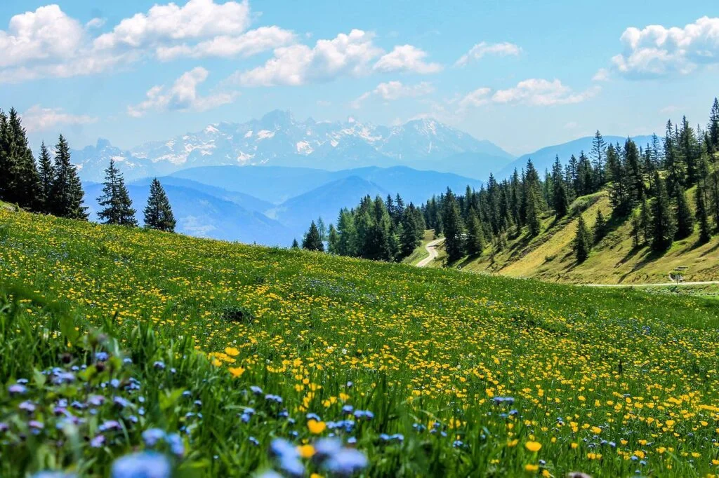 vos vacances dans les Alpes, en famille ou en couple